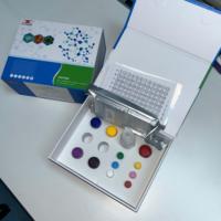 Kit de Investigación ELISA para el Antígeno Proespecífico de la Próstata Humana (Pro-PSA)