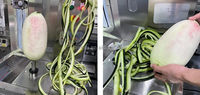Éplucheur automatique de citrouille de fruits et légumes de machine d'épluchage de pastèque d'ananas de papaye
