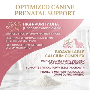 Integratore Multivitaminico Premiscelato Premium per Cani in Gravidanza con DHA e Calcio, Certificato GMP, OEM - Product Image 3