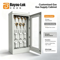 Système de prélèvement de gaz multi-canaux en ligne OEM Bayou-LOk, armoire de surveillance de débit, aménagement sur mesure, gaz spécial de laboratoire