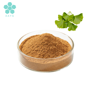 Factory Supply Natural <strong>Ginkgo</strong> <strong>Biloba</strong> <strong>Extract</strong> Powder - Product Image 1