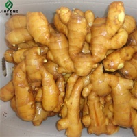 Nouvel ail frais de Chine de Shandong gingembre en gros graines de Chine pour la plantation d'ail frais
