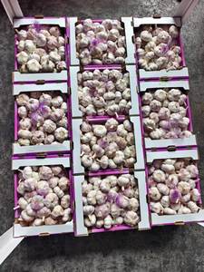 <span class=keywords><strong>Ail</strong></span> blanc pur frais de qualité supérieure en gros, <span class=keywords><strong>ail</strong></span> blanc normal frais, prix par tonne - Product Image 3