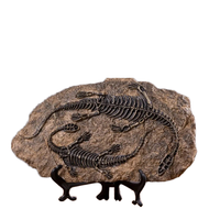 Adorno de Hueso de Tiranosaurio Rex de Simulación Creativa ODM/OEM, Fósil de Dinosaurio 3D para Decoración del Hogar, Salas de Estar, Resina de Vino