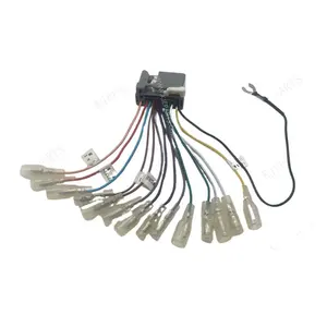 24 Pin Male Connector Wires Car Audio DSP Power Amplifier Harness For Hondas Accords CRIDER Stereo
