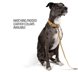 Collar y Correa de Cuero para Perro, de Lujo, Personalizado, Vegano, Ajustable, con Patrón Sólido, Transpirable y Cómodo, <span class=keywords><strong>2026</strong></span> - Product Image 6