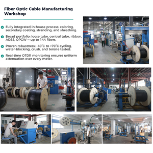 Câble de branchement FTTH en <span class=keywords><strong>fibre</strong></span> <span class=keywords><strong>optique</strong></span> monomode 2 fibres G657A LSZH pour extérieur - Product Image 2