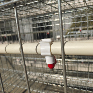 Offre Spéciale une batterie de couche automatique de nouvelle condition de cage de poulet en acier de type <span class=keywords><strong>pour</strong></span> <span class=keywords><strong>les</strong></span> <span class=keywords><strong>poules</strong></span> <span class=keywords><strong>pondeuses</strong></span> de ferme avicole - Product Image 5