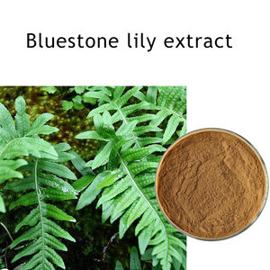 Poudre d'extrait pur de <span class=keywords><strong>Polypodium</strong></span> <span class=keywords><strong>Leucotomos</strong></span> à vendre - Product Image 2