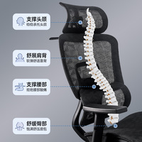 Chaise de bureau ergonomique avec support lombaire 5D, style professionnel, chaise de jeu confortable pour de longues heures de travail, respirante pour la maison