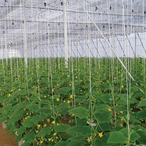 4mm 6mm 8mm Solid Fiberglass Rod FRP Poles/ Sticks - Product Image 5