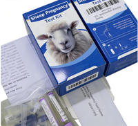 Kit de dépistage de la gestation des ruminants sur site, détection du PAG pour une gestion efficace de l'élevage de bovins et de moutons, 2 tests/kit
