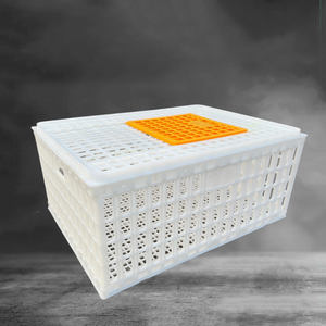 Jaulas de Plástico <span class=keywords><strong>para</strong></span> Aves de Corral <span class=keywords><strong>para</strong></span> Transportar Pollos Vivos, <span class=keywords><strong>Jaula</strong></span> de Transporte <span class=keywords><strong>en</strong></span> <span class=keywords><strong>Venta</strong></span> - Product Image 2