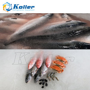 Machine à glace en pâte de sel Koller 1t 2t 5t 10t 15t 20 tonnes par jour pour la pêche - Product Image 5