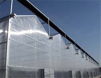 Serres en polycarbonate Equipement PC Serres vertes pour la culture agricole