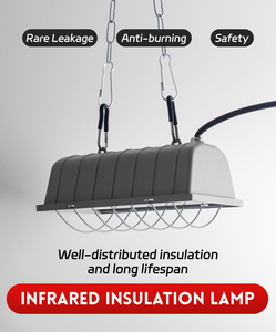 Lámpara Infrarroja de Fibra de Carbono BLUEWORTH para Mascotas, 175/275W, Ajustable, Cubierta Cuadrada, Diseño Colgante, Enchufes Americanos 110V, Duradera, para Calentar Animales - Product Image 2