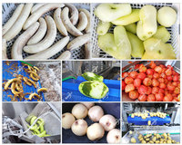 Éplucheuse de fruits en acier inoxydable 1-5T/H, éplucheuse de tomates, éplucheuse industrielle de pêches, éplucheuse de plantains et bananes, machine à éplucher les pommes de terre à la vapeur