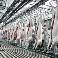 Ligne complète d'abattage de porcs EME, solution tout-en-un, équipement de transformation de la viande de porc pour abattoir, vente chaude