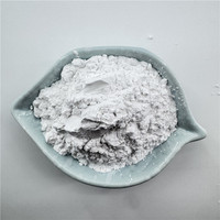 Sílice Pirogénica Hidrófoba Industrial de Alta Pureza, Dióxido de Silicio Modificado Superficialmente, Agente Antiaglomerante en Polvo Nano para Resina Selladora