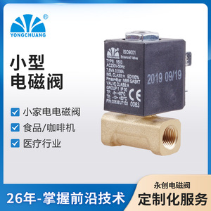 Yuyao Yongchuang Solenoid Valve 5503-01 AC220V 50Hz Miniature Gas Heater Valve Monte Heater Valve - Product Image 5