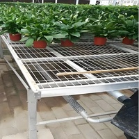 Banc roulant en treillis métallique pour lit de semence de pépinière de serre Offre Spéciale Table de culture intérieure pour banc roulant agricole