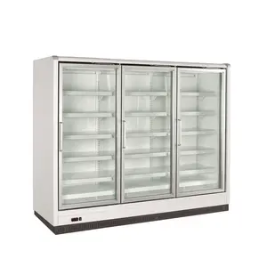 Gefrier schrank Kühler Glastür für gewerbliche Display Gefrier schrank/Aufrechte Anzeige Kühlschrank/Gefrier schrank Kühler mit Lampe Display Kühler