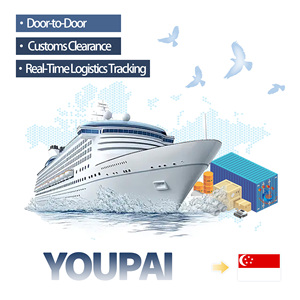 중국 싱가포르 UPS/<span class=keywords><strong>FEDEX</strong></span>/DHL FCL LCL 옵션에 대한 저렴한 해양 화물 서비스에는 포장 및 통관이 포함됩니다 - Product Image 1