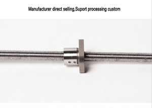 Vite a ricircolo di sfere di alta precisione per mano sinistra e destra, 25mm, C3, <span class=keywords><strong>Sfs</strong></span> 2505 - Product Image 6