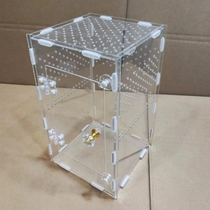 Recinto de reptiles de acrílico transparente Terrario Mini <span class=keywords><strong>jaula</strong></span> de alimentación de reptiles <span class=keywords><strong>para</strong></span> camaleón Rana lagarto Gecko - Product Image 5