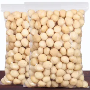 Kualitas Premium kacang Macadamia kacang panggang Mentah Makanan Sehat Macadamia Di cangkang 20-25mm