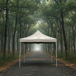 Carpa Cuadrada con Estructura de Hierro Domi, Tela de PVC Impermeable, Plegable, Ecológica, Resistente, para Todas las Estaciones, Portátil, 3x3, para Jardín, Patio, Barbacoa - Product Image 5