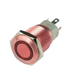 PB-02A-16-MF-BOR Red 16mm Waterproof Metal Push Button Switch with Led Light