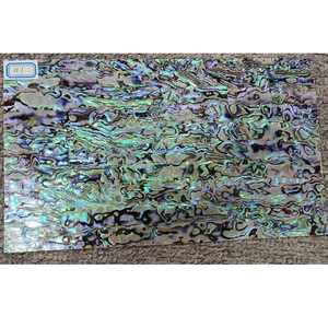 Vỏ Bào Ngư Nghiền Nát Vỏ Paua Vỏ Đinh Tán Vỏ - Product Image 2