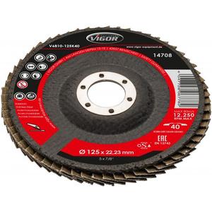 VIGOR-Juego de discos de aletas de 125 mm (10 Uds.) de mm de longitud -ALMOHADILLAS DE LIJADO ABRASIVOS EAN 4047728067782 - Product Image 1