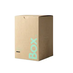 厂家直销奢侈品定制牛皮纸礼品发货包装食品级纸板箱