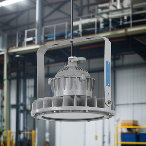 Промышленные светодиодные прожекторы Ex Lamp Zone 1 Zone2 для зон повышенной опасности, сертифицированные ATEX/IECEx, IP65, для периметра нефтеперерабатывающих заводов - Product Image 3