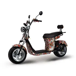 Scooter Electric Motorcycle 2000W Adult Citycoco Electric Chopper Blue Canada Warehouse Stock