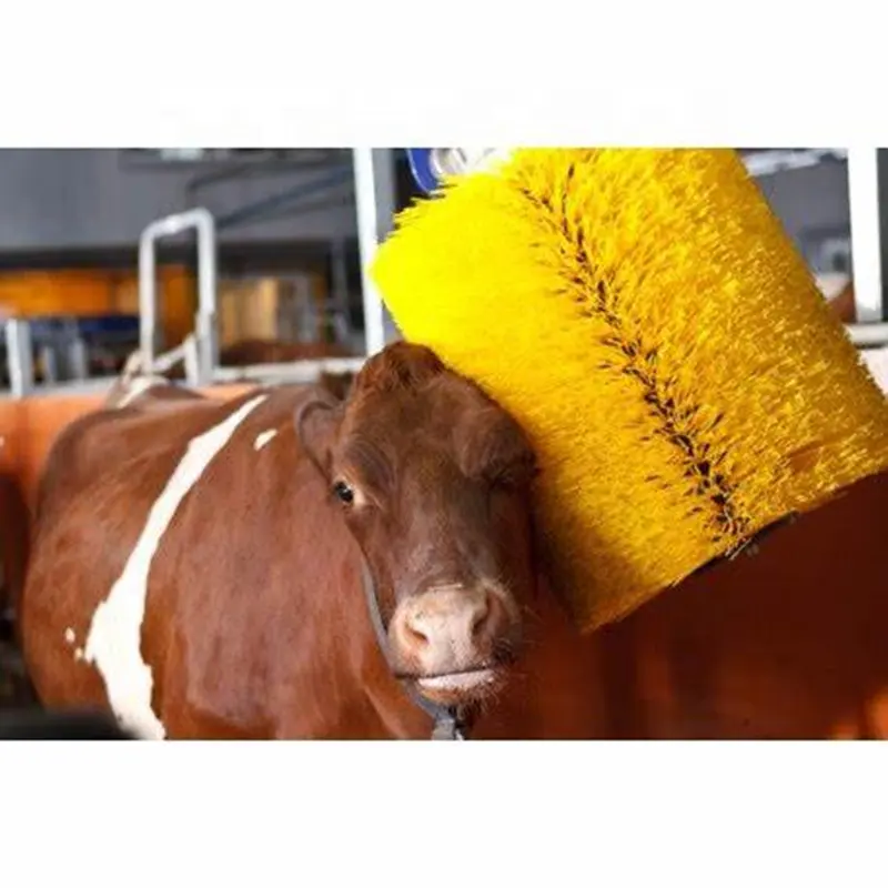 Dariy Farm Equipment Brosse à gratter automatique pour vache avec moteur pour massage du bétail