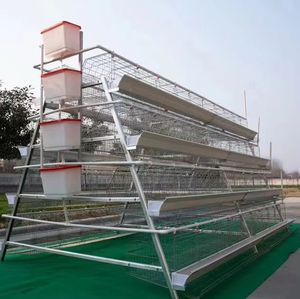Jaulas semiautomáticas para pollos al por mayor de fábrica, jaulas de cría tipo H de 4 niveles para granjas avícolas - Product Image 2