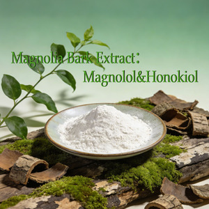 Gıda Sınıfı Bitkisel Manolya Kabuğu Ekstresi Diyet Takviyeleri ve Aromaterapi için Süper Kritik CO2 Ekstraksiyonlu Ekstrakt Tozu - Product Image 1