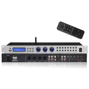 Professional Radio Audio Processor With CE Certificate home ktv effects