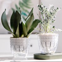 Grand pot auto-arrosant pour plantes grimpantes, transparent, en PP, avec un design élégant, idéal pour l'intérieur