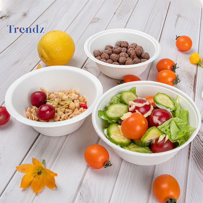 Trendz Disposable Food Plate Environmental Biodegradable Bagasse Sugarcane Paper Bowl