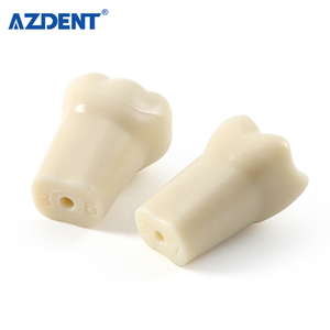 Modello Dentale Tipodonto Compatibile con Frasaco <span class=keywords><strong>AG3</strong></span> Tipo 32, Set di Denti Rimovibili per Pratica di Preparazione e Riparazione Carie - Product Image 2