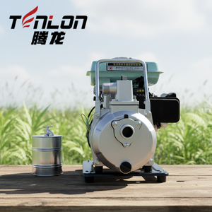 Pompe compacte WP10 ronde <span class=keywords><strong>avec</strong></span> une puissance d'aspiration de 6 mètres, idéale pour l'irrigation des petits jardins en saison sèche au Kenya. - Product Image 1