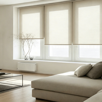 Rideaux électriques double couche sur mesure, stores à double rouleau pour la régulation de la lumière des fenêtres