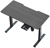 Bureau Ergonomique Moderne à Hauteur Réglable avec Double Moteur, Bureau Debout Noir pour la Maison/le Bureau