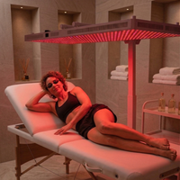 Panneau de luminothérapie rouge à écran tactile sur pied avec télécommande, prise US, appareil de soulagement de la douleur