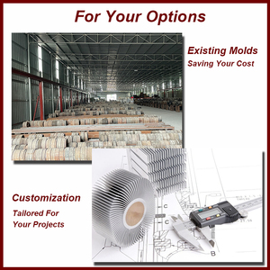 Tùy chỉnh công suất cao hướng dương tản nhiệt dẫn chiếu sáng tản nhiệt nhôm hợp kim nhôm hồ sơ tản nhiệt - Product Image 5