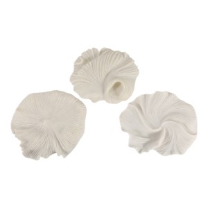 Arte Murale in Resina a Forma di Conchiglia, Sculture Organiche Incorniciate per Decorazione Casa - Product Image 1